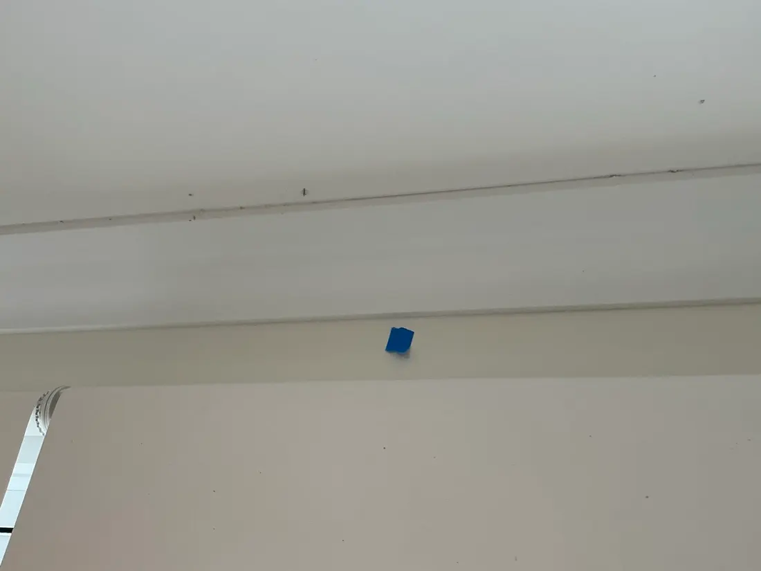 Inspection finding captured by Adam Gates while coral homes north lakes